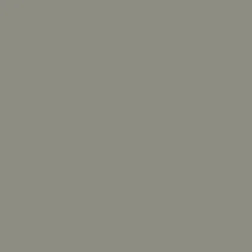 Stone Grey RAL 7030 rail colour swatch for the Access Flow X