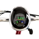 zoome-recreational-scooter-2.jpg