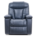 Golden Rhea PL-442 Lift Chair - lagoon view