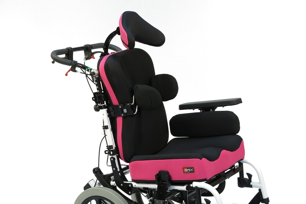 Spex SuperShape Back Support - rear view 1
