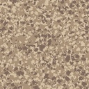 quantum-outback-studio