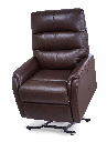 Golden Elara PL-118 Lift Chair