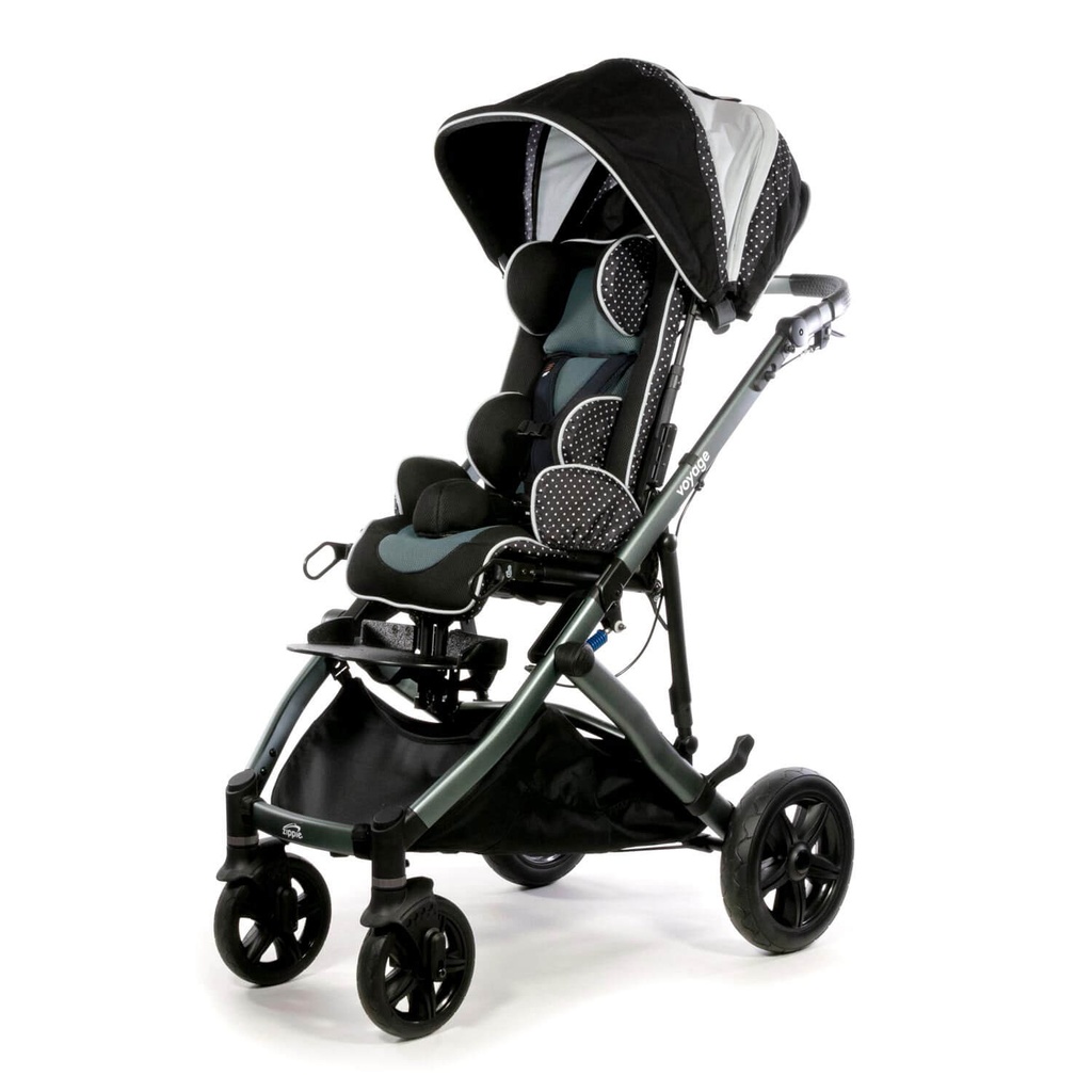 Zippie Voyage Early Intervention Stroller