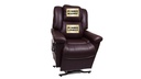 Golden Daydreamer Pr-632 Lift Chair